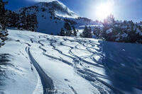 Descente dans les jasses Descente dans les jasses