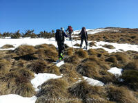 Un peu d'herbe ! Un peu d'herbe !